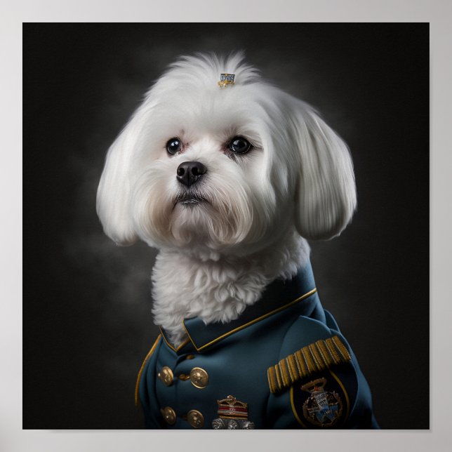 Poster Chien chiot maltais Fantastique portrait militaire (Devant)