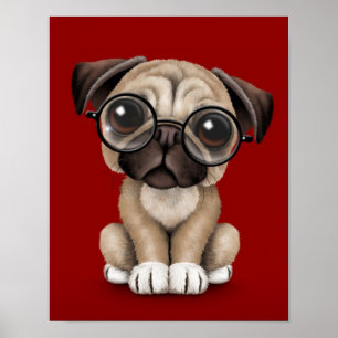 Poster Chien chiot mignon Carlin portant des lunettes de 