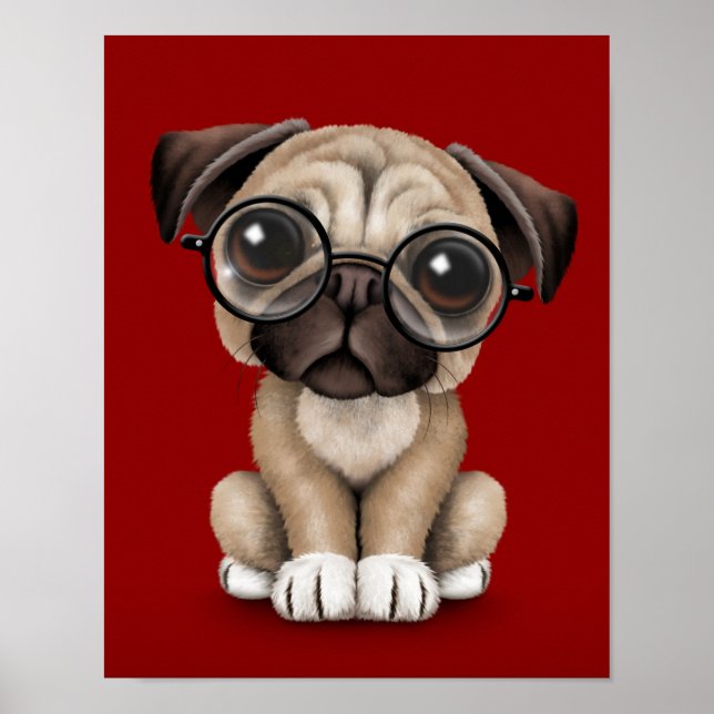Poster Chien chiot mignon Carlin portant des lunettes de  (Devant)