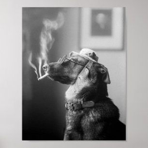 Poster Chien classe fumer une cigarette