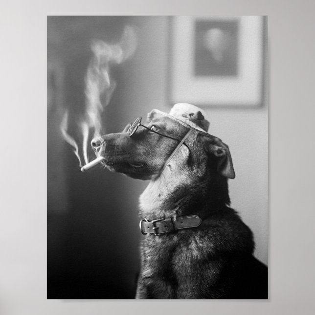 Poster Chien classe fumer une cigarette (Devant)