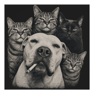 Poster Chien Coriace Vintage avec Cigarette et Chats Grog