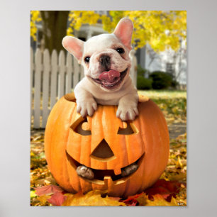 Poster Chien dans Jack-o-Lantern