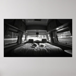Poster Chien dans le lit d'un camping-car