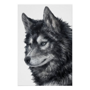 Poster Chien de Balto
