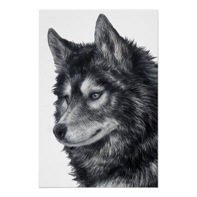 Poster Chien de Balto (Devant)