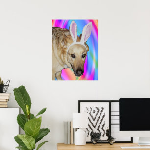 Poster Chien de berger allemand drôle et oreilles de lapi