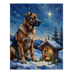 Poster Chien de berger anatolien gardant une crèche