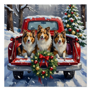 Poster Chien de berger des Shetland camion rouge de Noël 