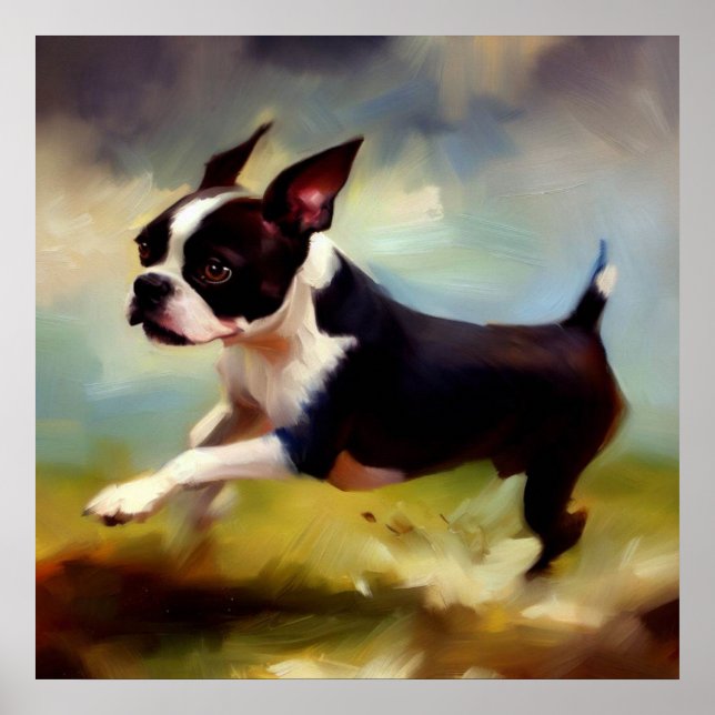 Poster Chien de Boston Terrier (Devant)