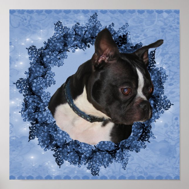 Poster Chien De Boston Terrier Dans La Guirlande Florale (Devant)