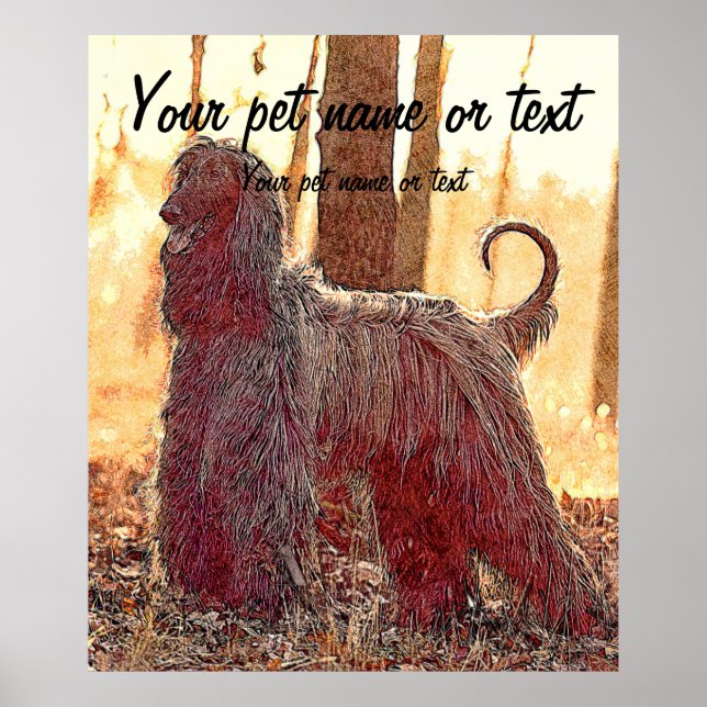 Poster Chien de chien afghan dans la forêt (Devant)