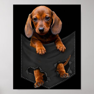Poster Chien de chien Dans My Pocket Dachshund Weiner Dog