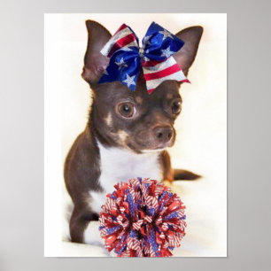 Poster Chien de Chihuahua pom-pom girl