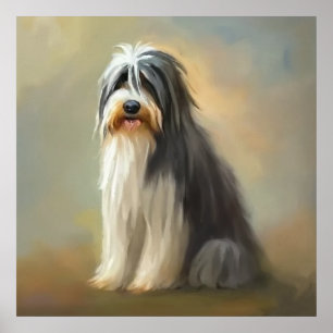 Poster Chien de Collie à poils