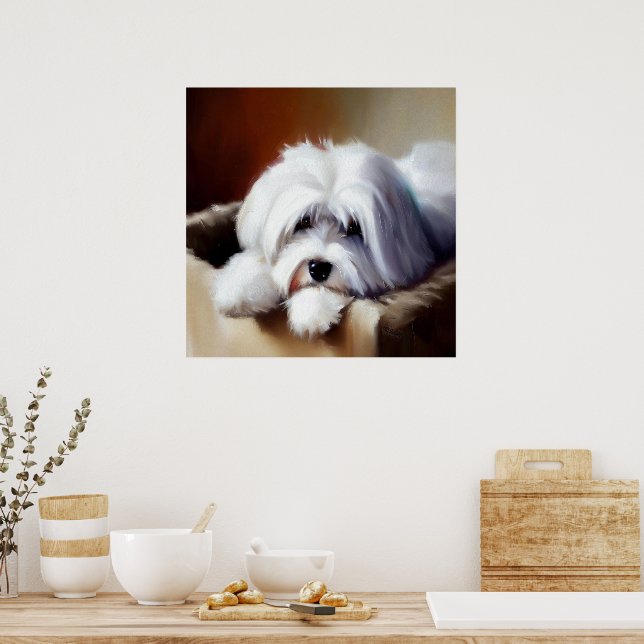 Poster Chien de Coton de Tulear (Cuisine)