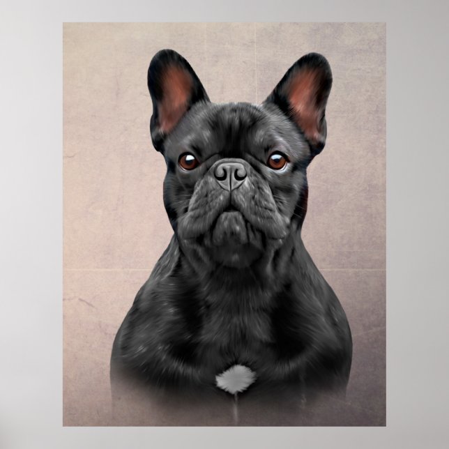 Poster Chien de dessin Chien de taureau français (Devant)