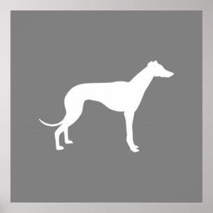 Poster Chien de Greyhound