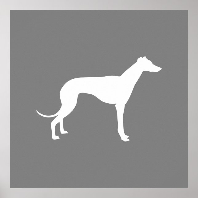 Poster Chien de Greyhound (Devant)