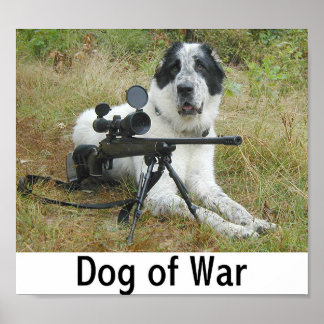 Poster Chien de guerre 2
