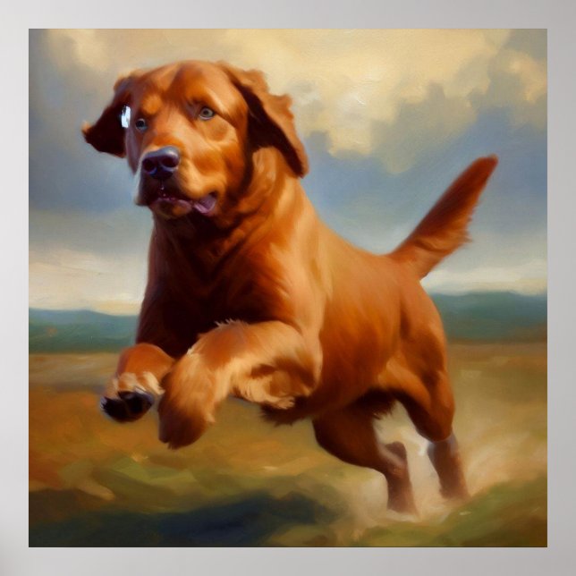 Poster Chien de la baie de Chesapeake (Devant)