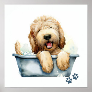 Poster Chien de Labradoodle