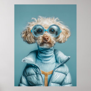Poster Chien de mode en tenue bleue