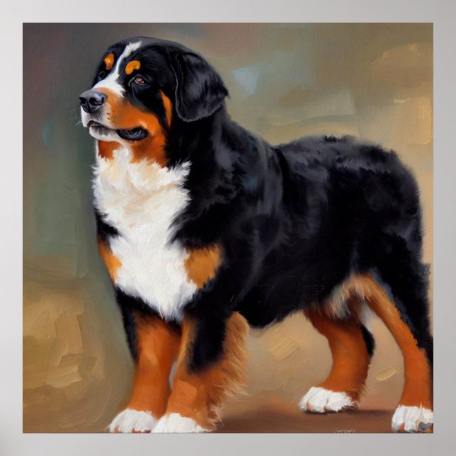 Poster Chien de montagne bernois (Devant)