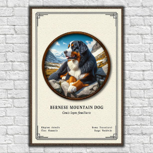 Poster Chien de montagne bernois Série de zoologie