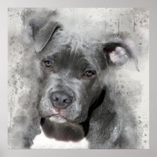 Poster Chien de pitbull de peinture d'aquarelle d'effet