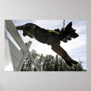 Poster Chien de police berger allemand