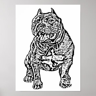 Poster Chien de taureau américain