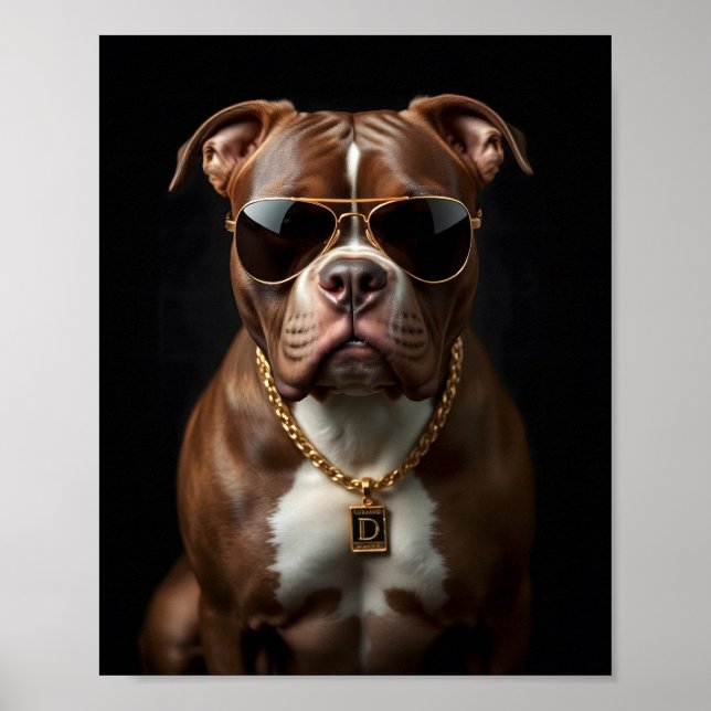 Poster Chien de taureau avec verre de soleil et chaîne d' (Devant)