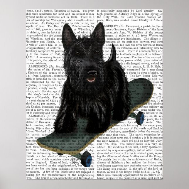 Poster Chien de taureau français (Devant)