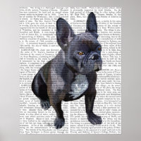 Chien de taureau français
