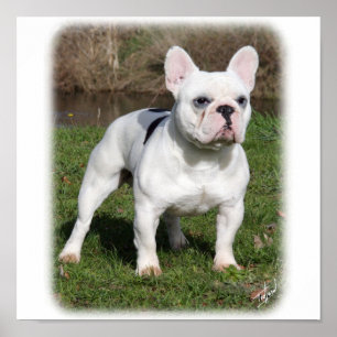 Poster Chien de taureau français 9Y202D-134