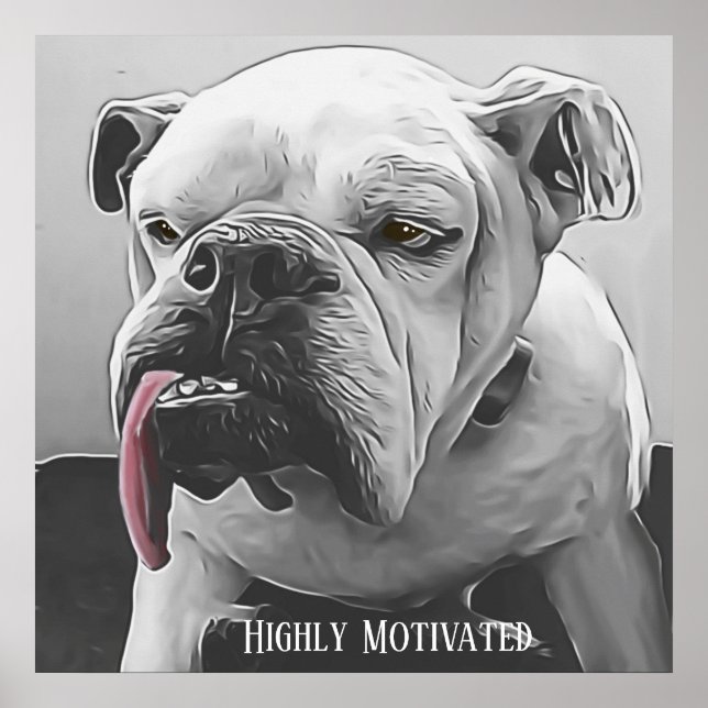 Poster Chien de taureau très motivé (Devant)
