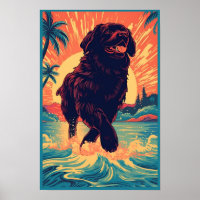 Chien de Terre-Neuve à la plage