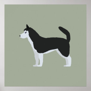 Poster Chien de traîneau sibérien