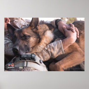 POSTER CHIEN DE TRAVAIL MILITAIRE AMÉRICAIN