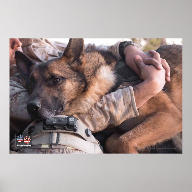 POSTER CHIEN DE TRAVAIL MILITAIRE AMÉRICAIN (Devant)