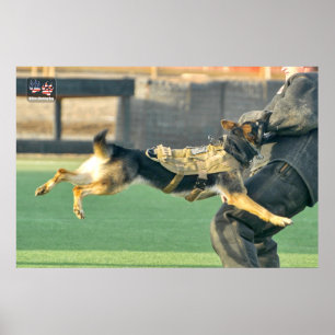 POSTER CHIEN DE TRAVAIL MILITAIRE AMÉRICAIN