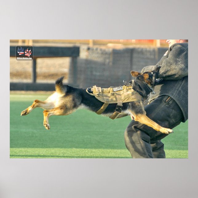 POSTER CHIEN DE TRAVAIL MILITAIRE AMÉRICAIN (Devant)