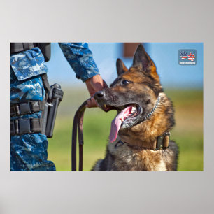 POSTER CHIEN DE TRAVAIL MILITAIRE AMÉRICAIN