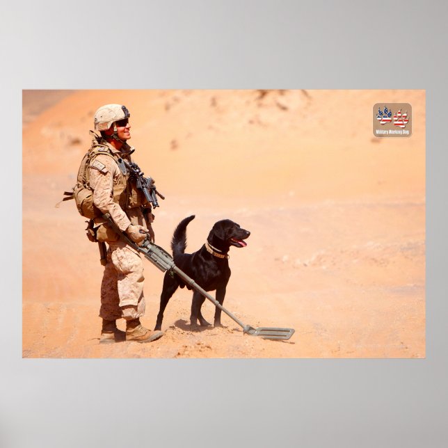 POSTER CHIEN DE TRAVAIL MILITAIRE AMÉRICAIN (Devant)