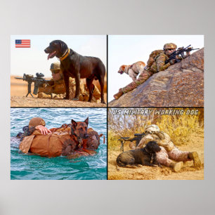 POSTER CHIEN DE TRAVAIL MILITAIRE AMÉRICAIN