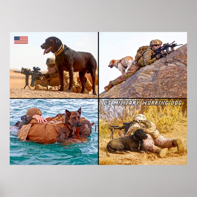 POSTER CHIEN DE TRAVAIL MILITAIRE AMÉRICAIN (Devant)