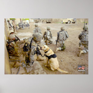POSTER CHIEN DE TRAVAIL MILITAIRE AMÉRICAIN