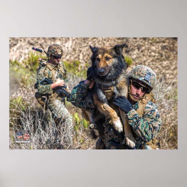 POSTER CHIEN DE TRAVAIL MILITAIRE AMÉRICAIN (Devant)