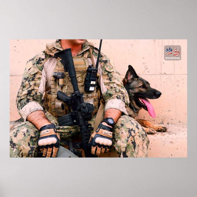 POSTER CHIEN DE TRAVAIL MILITAIRE AMÉRICAIN (Devant)